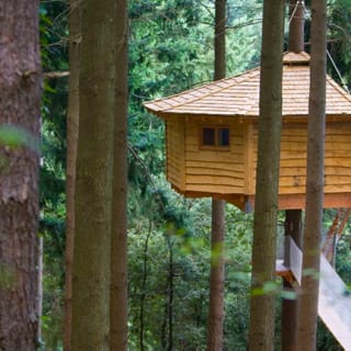 Cabanyes als arbres