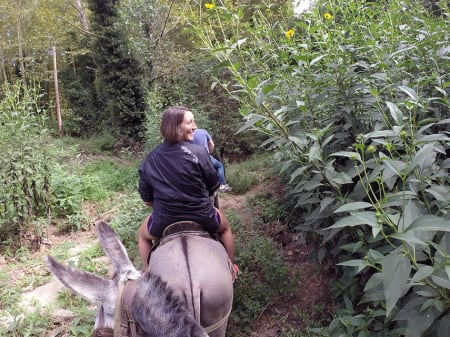 Escapada al Rukimon Rucs del corredor: Un dia d’animals