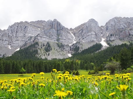 Prats de Cadí des d’Estana
