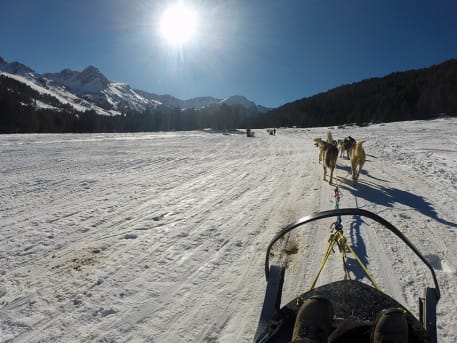 Trineu amb gossos a Andorra