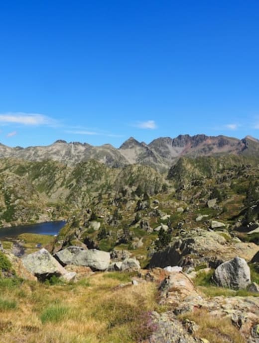 Pirineus
