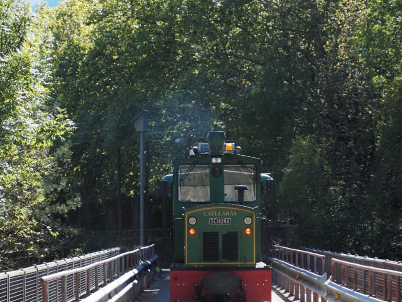 Visita als Jardins Artigas - 4