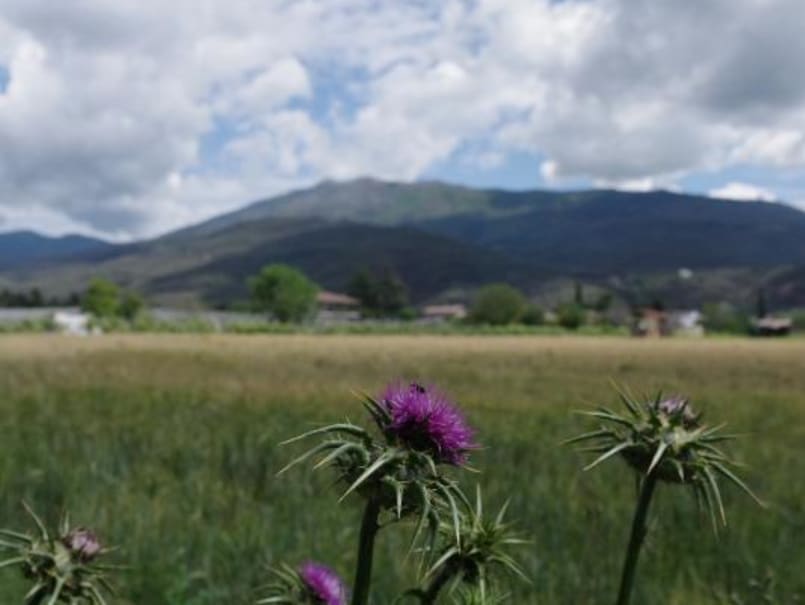 Castell de Montclús - 3