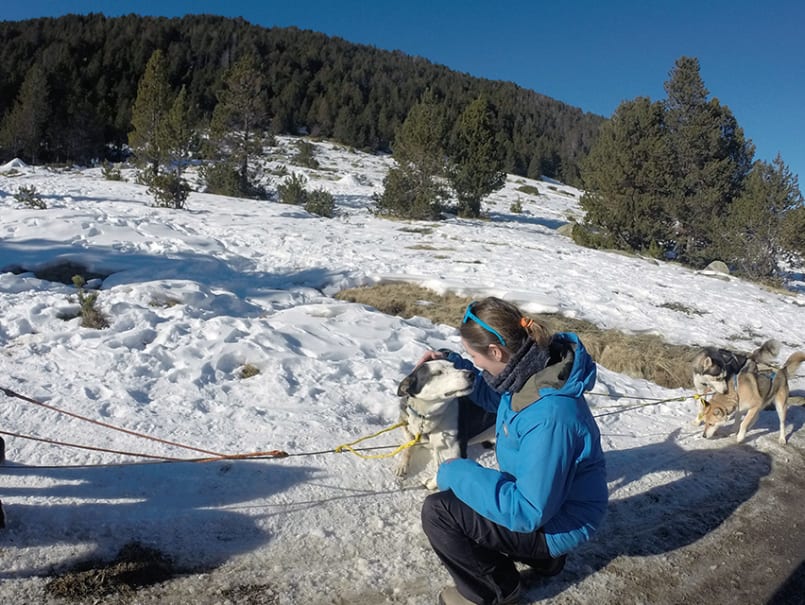 Trineu amb gossos a Andorra - 2