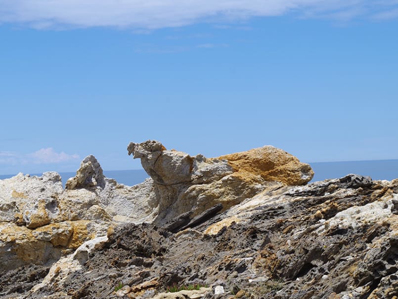 Parc Natural del Cap de Creus - 0