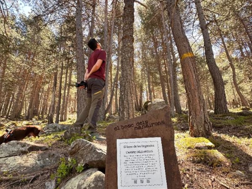 El Tarter de Manairons de la Guàrdia d’Ares - 2