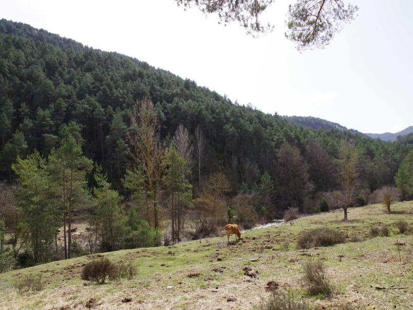 La Vall del Lord amb camper - 7