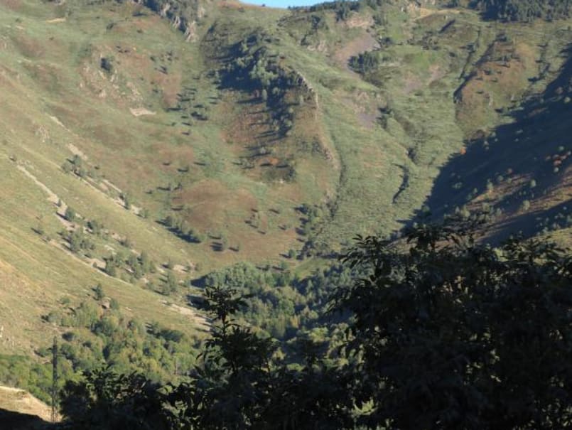 La Brama del Cérvol al Pallars Sobirà - 5