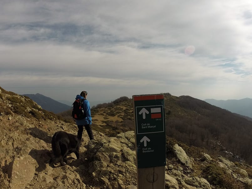 El Matagalls des de Sant Marçal - 0