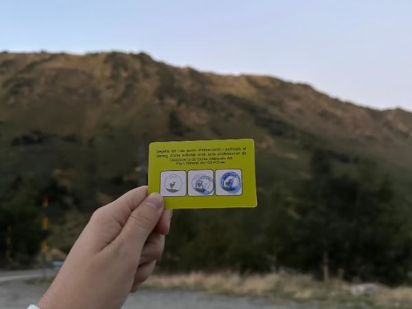 La Brama del Cérvol al Pallars Sobirà - 3