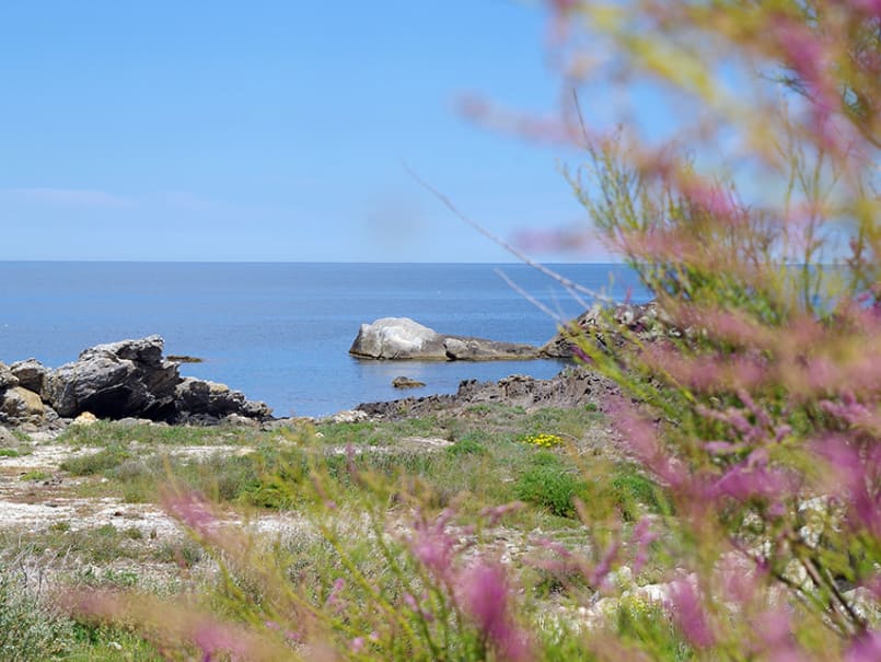 Parc Natural del Cap de Creus - 2