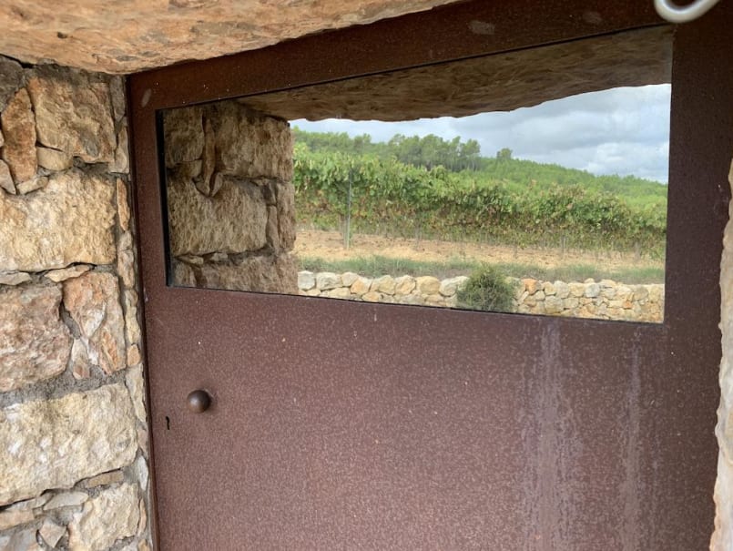 Barraca entre vinyes - 3