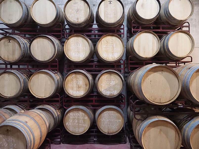 Tast de vins al Celler Vila Corona - 2