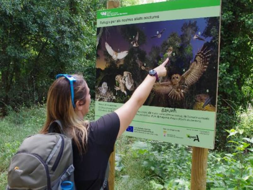 Castell de Montclús - 9