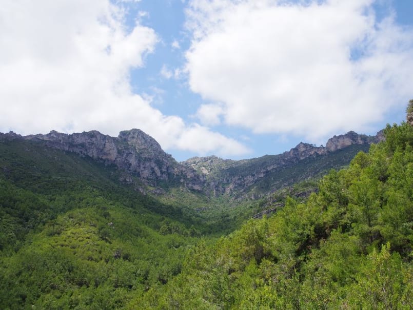 Ruta fins a les Pintures Rupestres de Cabrafeixet al Perelló - 1