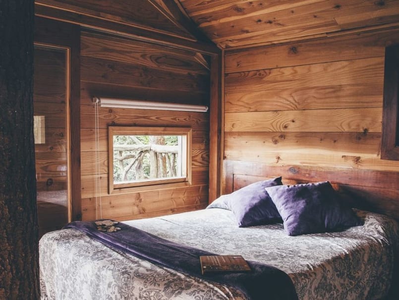 Cabanes als arbres - 0