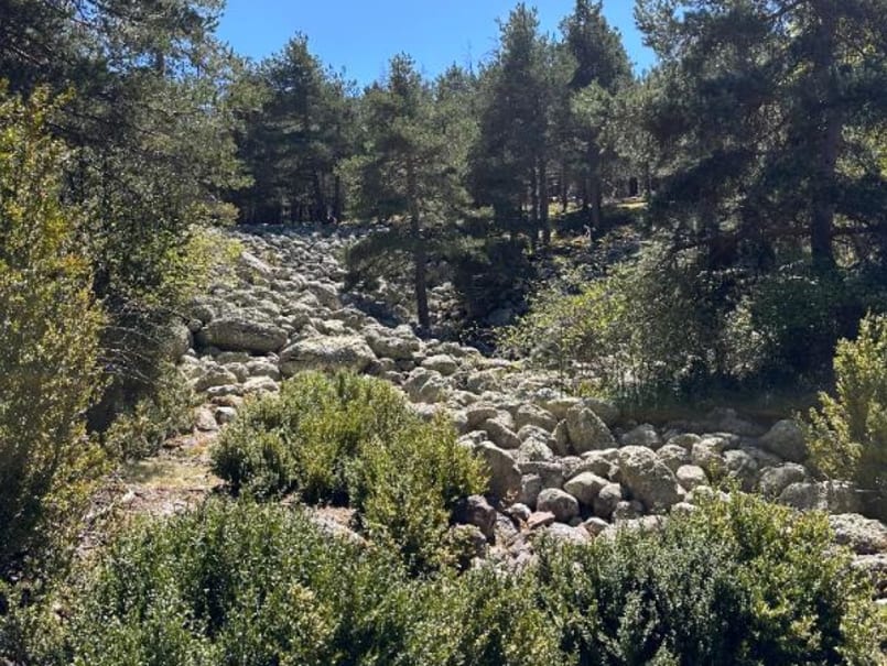 El Tarter de Manairons de la Guàrdia d’Ares - 9