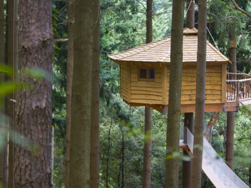 Cabanes als arbres