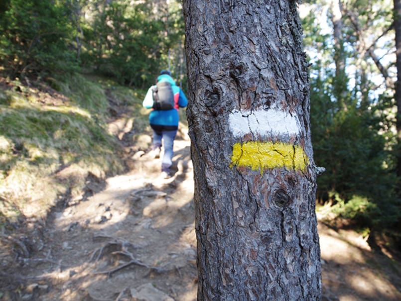 Pedraforca per la tartera - 0