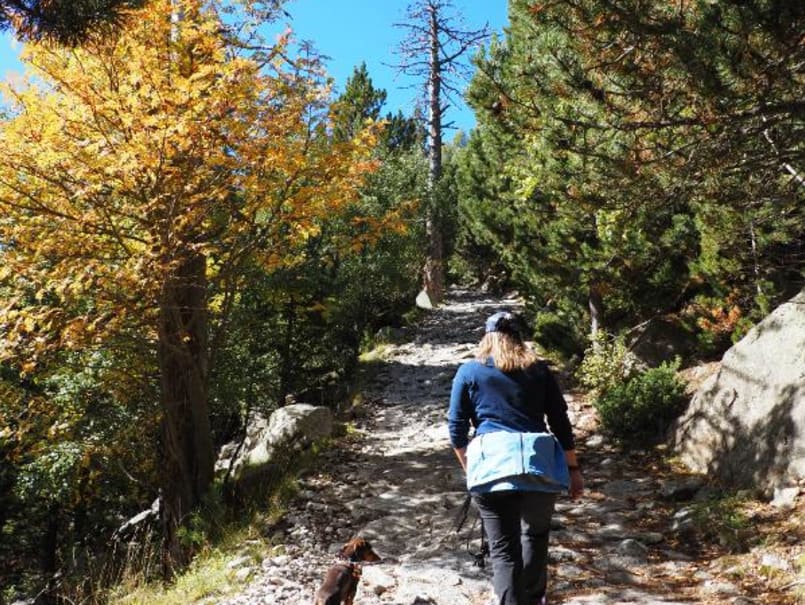 Estany Negre, al PN Aigüestortes - 5