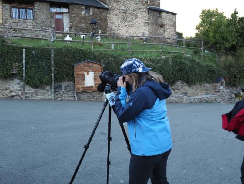 La Brama del Cérvol al Pallars Sobirà - 0