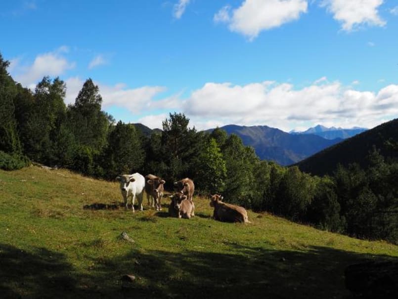 Estany Negre, al PN Aigüestortes - 1