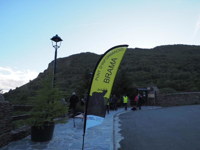 La Brama del Cérvol al Pallars Sobirà