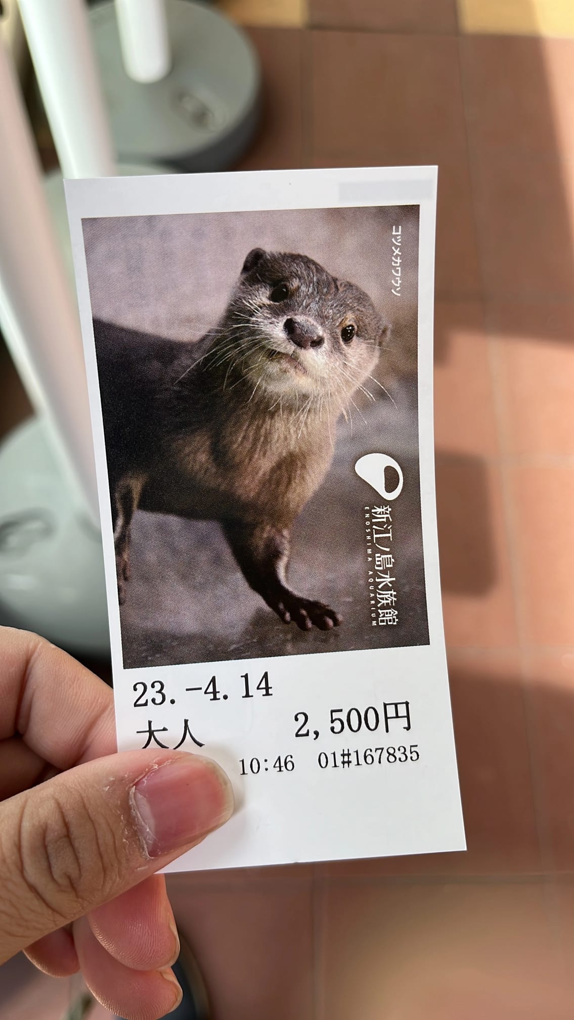 新江ノ島水族館