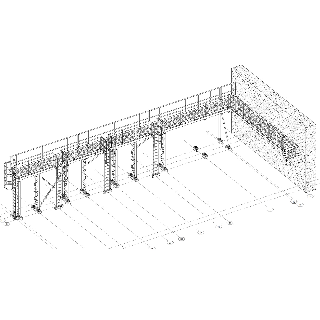 Maintenance Walkway & Caged Ladders: isometric 3D drawing 1