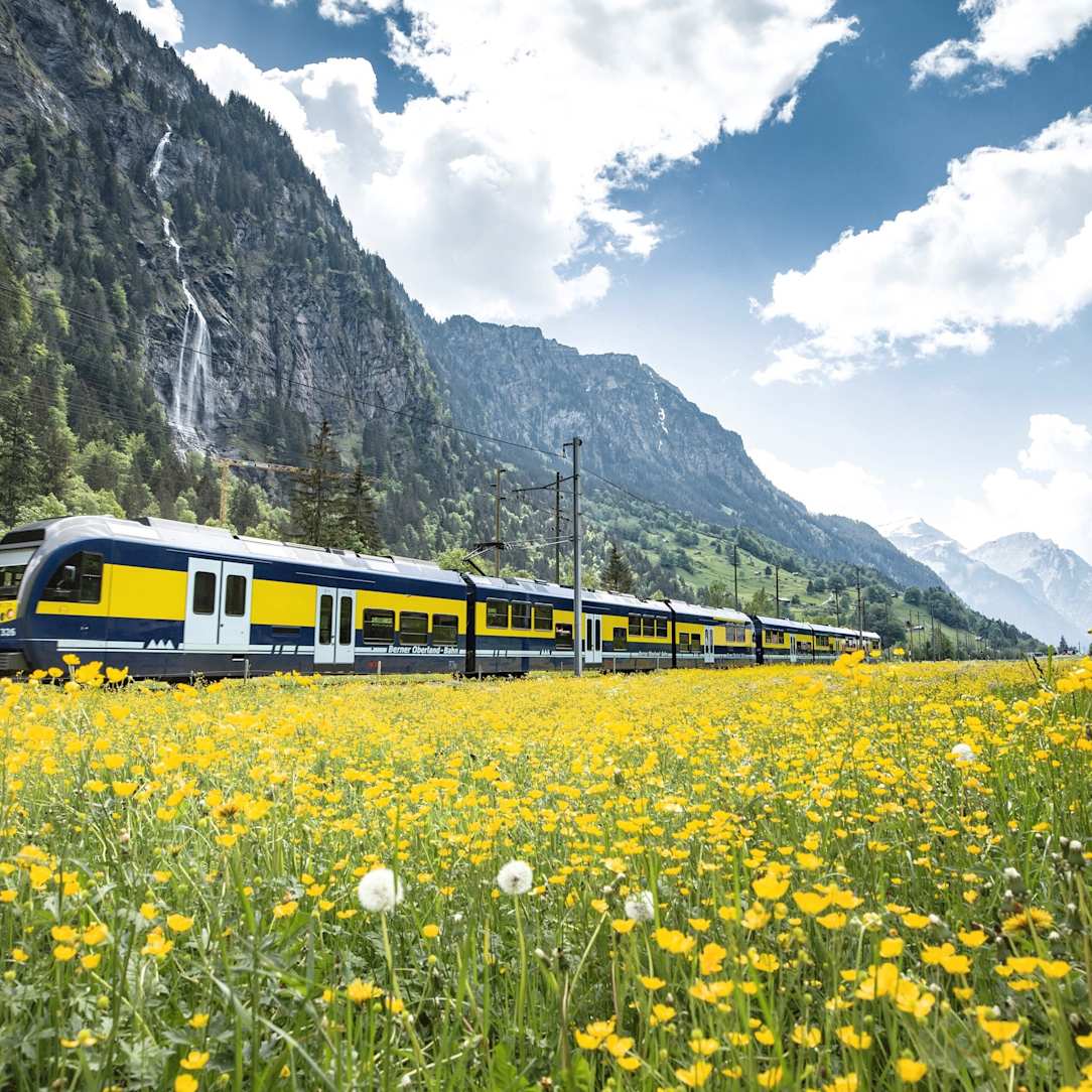 Bilddatenbank, Bilddatenbank-Berner-Oberland-Bahn, Bilddatenbank-Sommer, Bilddatenbank-Stichworte, Bilddatenbank-Themen