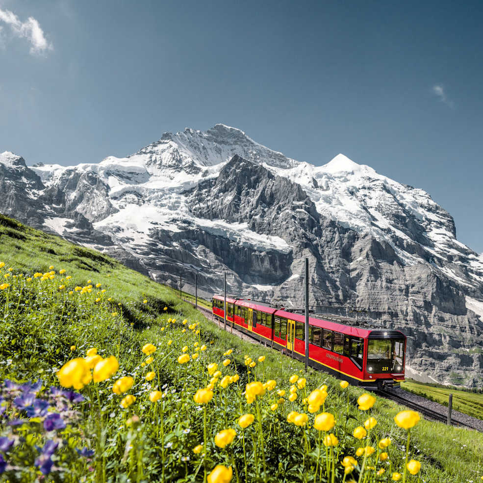 Klein jungfraubahn moench jungfrau sommer 03