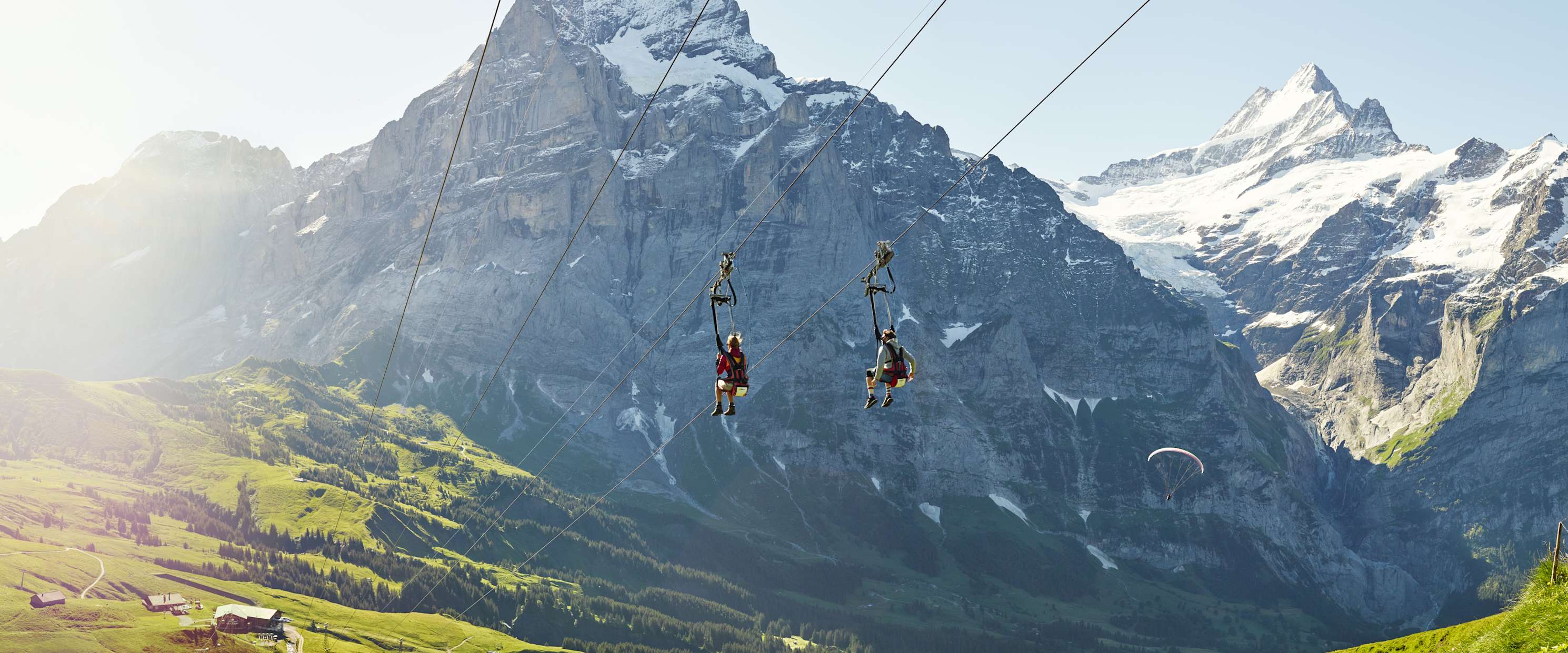 Grindelwald First Flieger Sommer Wetterhorn Schreckhorn Alpen