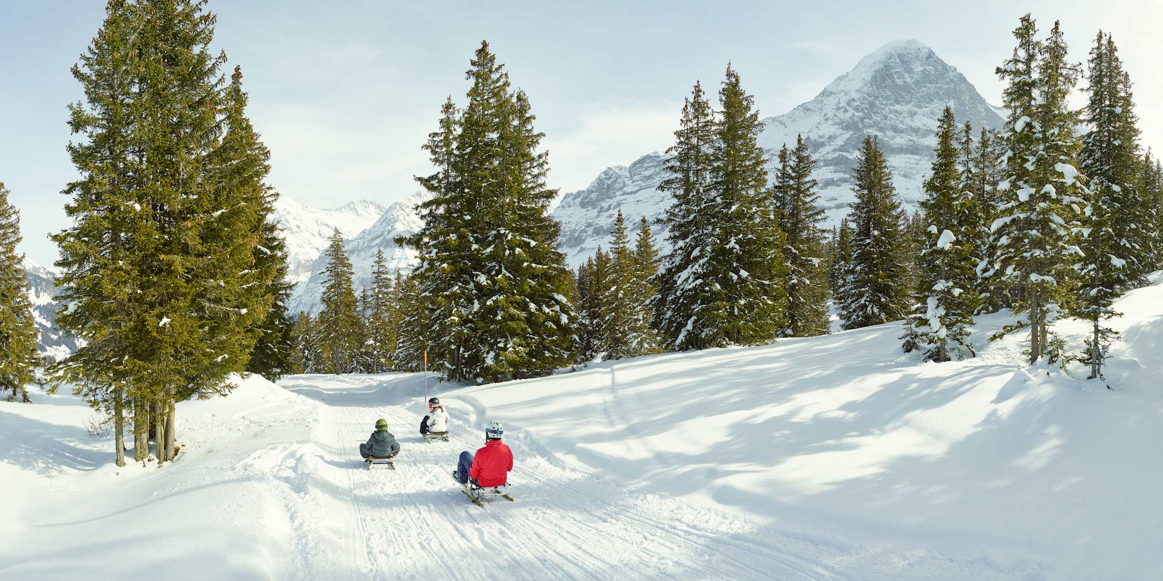 Sledging Rita’s Speedway Maennlichen Grindelwald Eiger