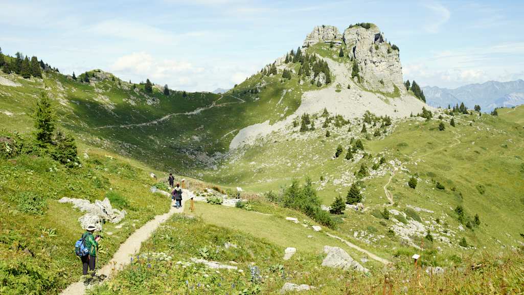 Schynige Platte Wandern Oberberghorn