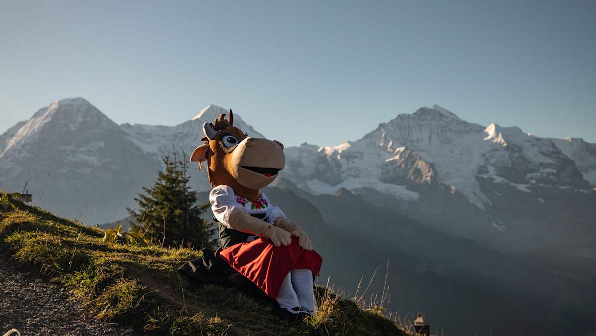 Lily Eiger Mönch Jungfrau