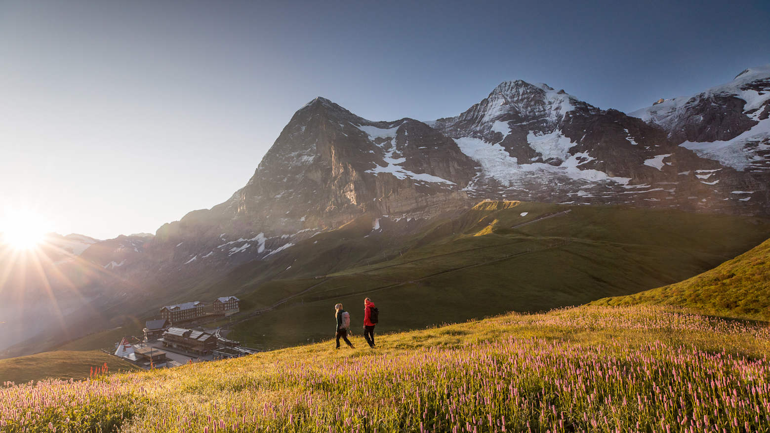 Bilddatenbank, Bilddatenbank-Eiger-Nordwand, Bilddatenbank-Kleine-Scheidegg, Bilddatenbank-Natur, Bilddatenbank-Sommer, Bilddatenbank-Stichworte, Bilddatenbank-Themen, Bilddatenbank-Wandern