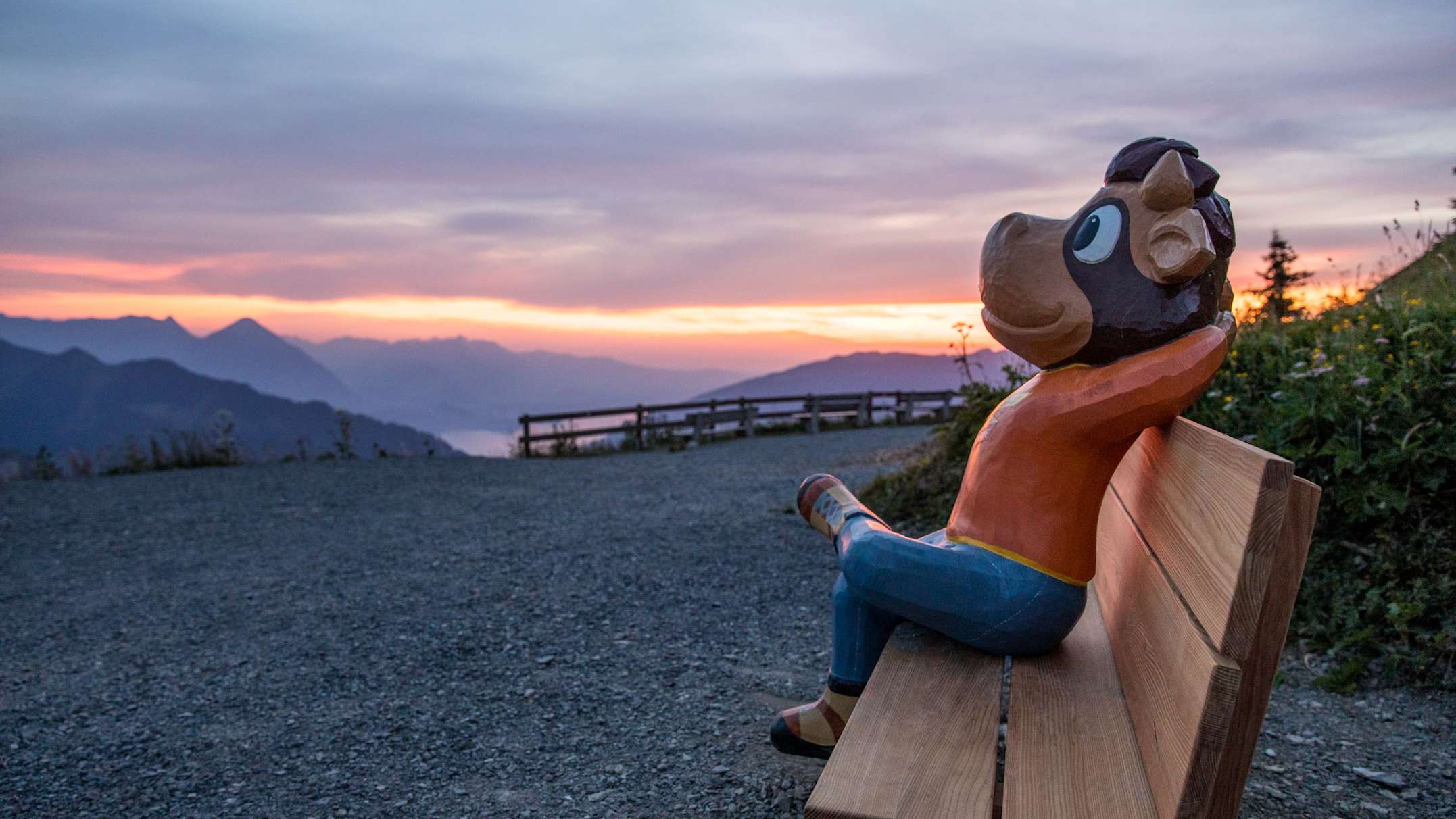 Schynige Platte Kuh Lily Sonnenuntergang kl