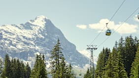 Firstbahn grindelwald eiger sommer