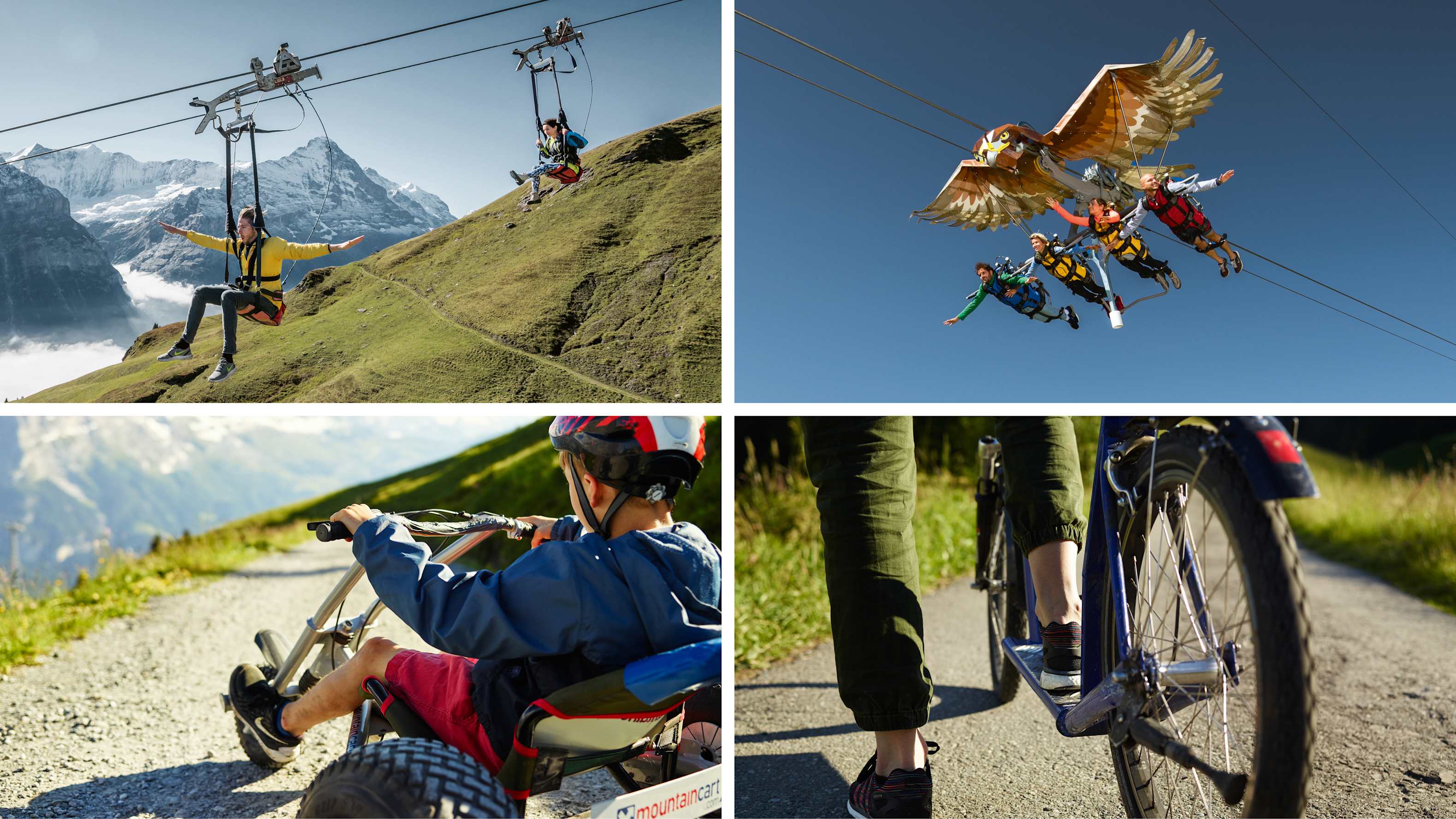 Adventure Package Grindelwald First Sales Manual