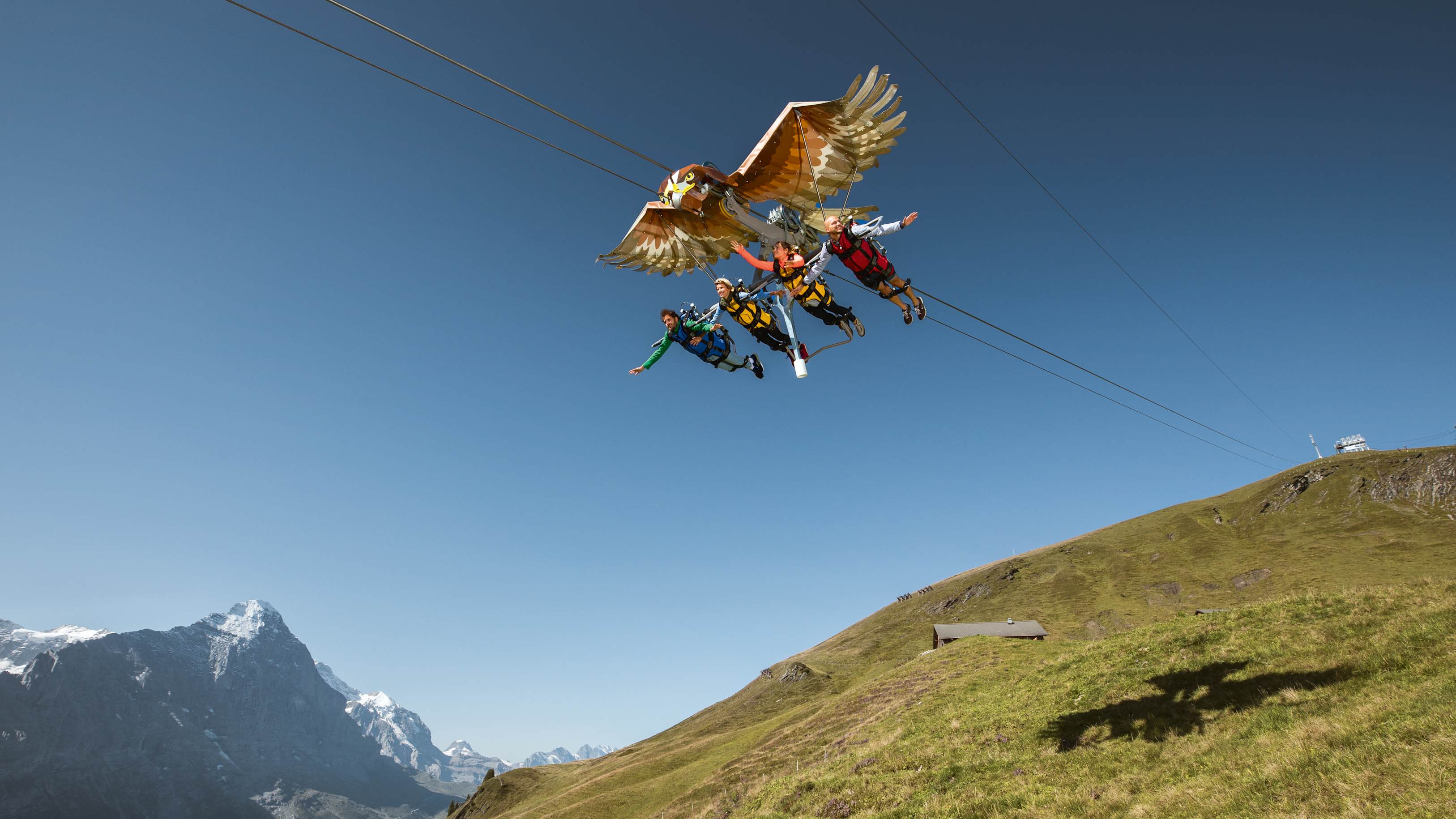 First-Glider, Grindelwald-First-Sommer, Sommer