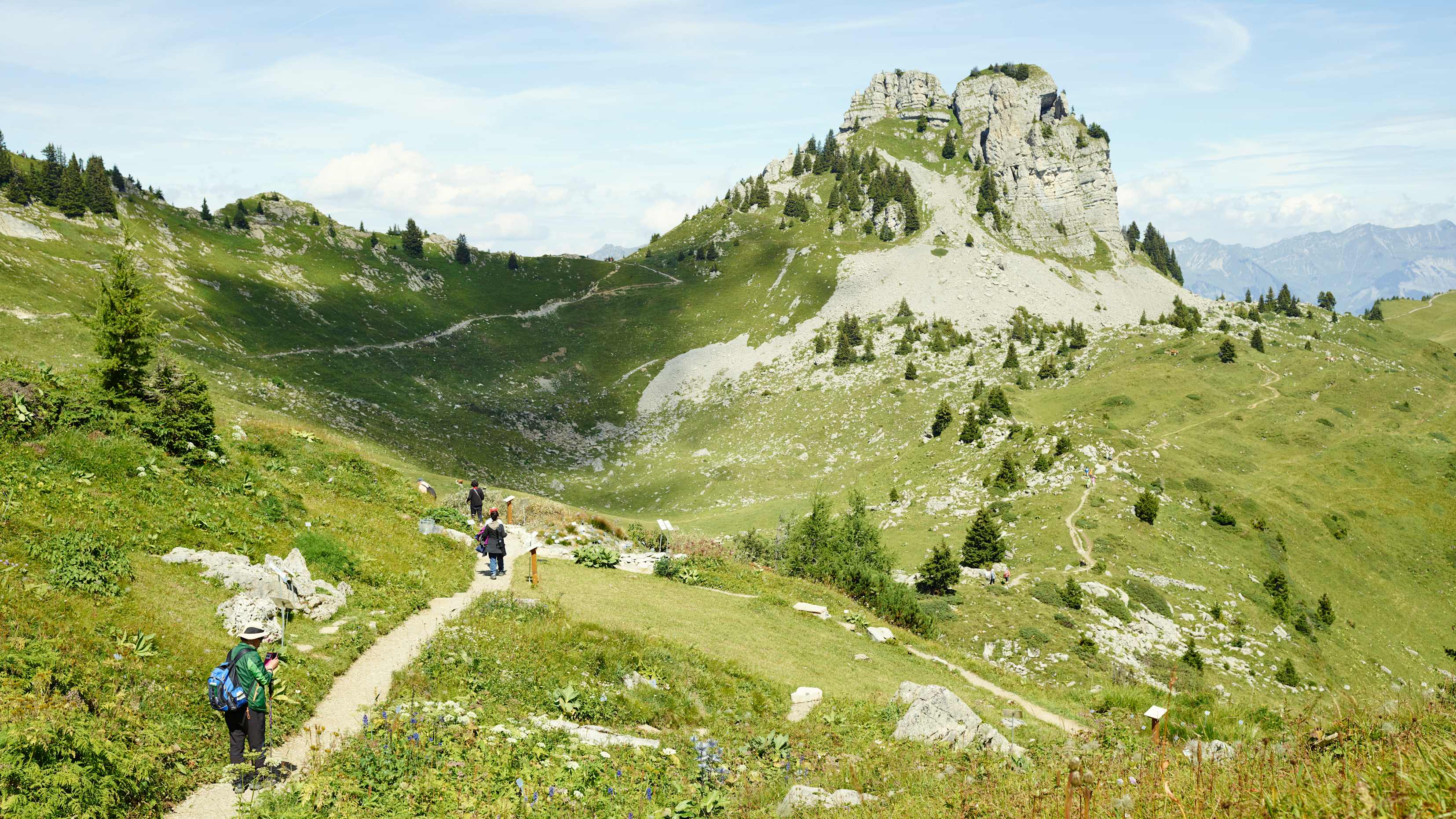 Schynige Platte Wandern Oberberghorn
