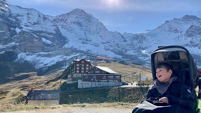 ID 43149 Waldispuehl WTLZ6715 3