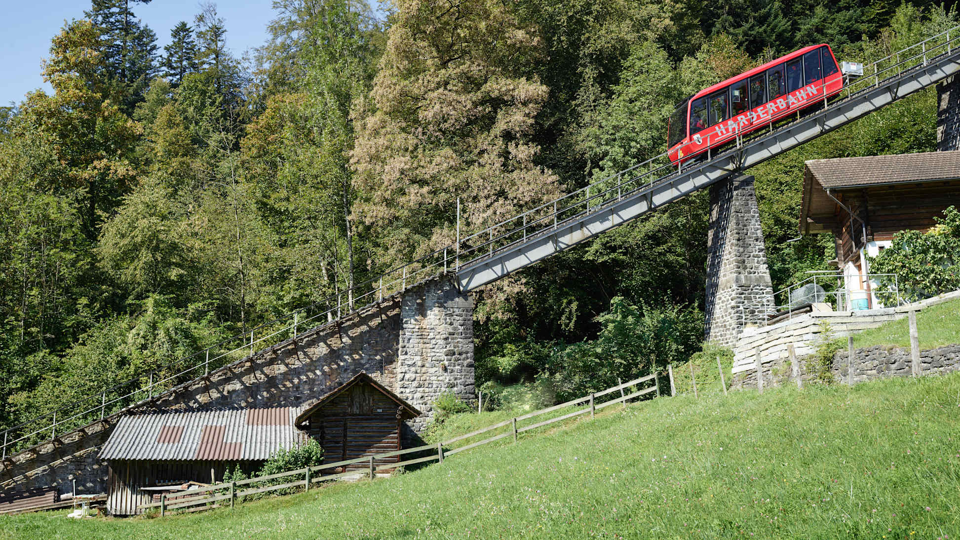 Harderbahn Sommer Wald