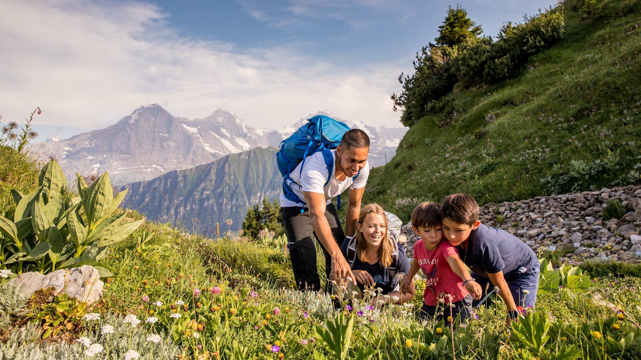 Publikationen, Schynige-Platte, Screen-Content, jungfrau.ch