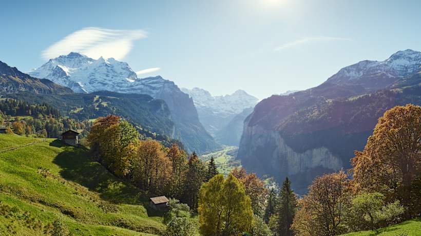 Wengen Wengwald Panorama Jungfrau Lauterbrunnen Tal