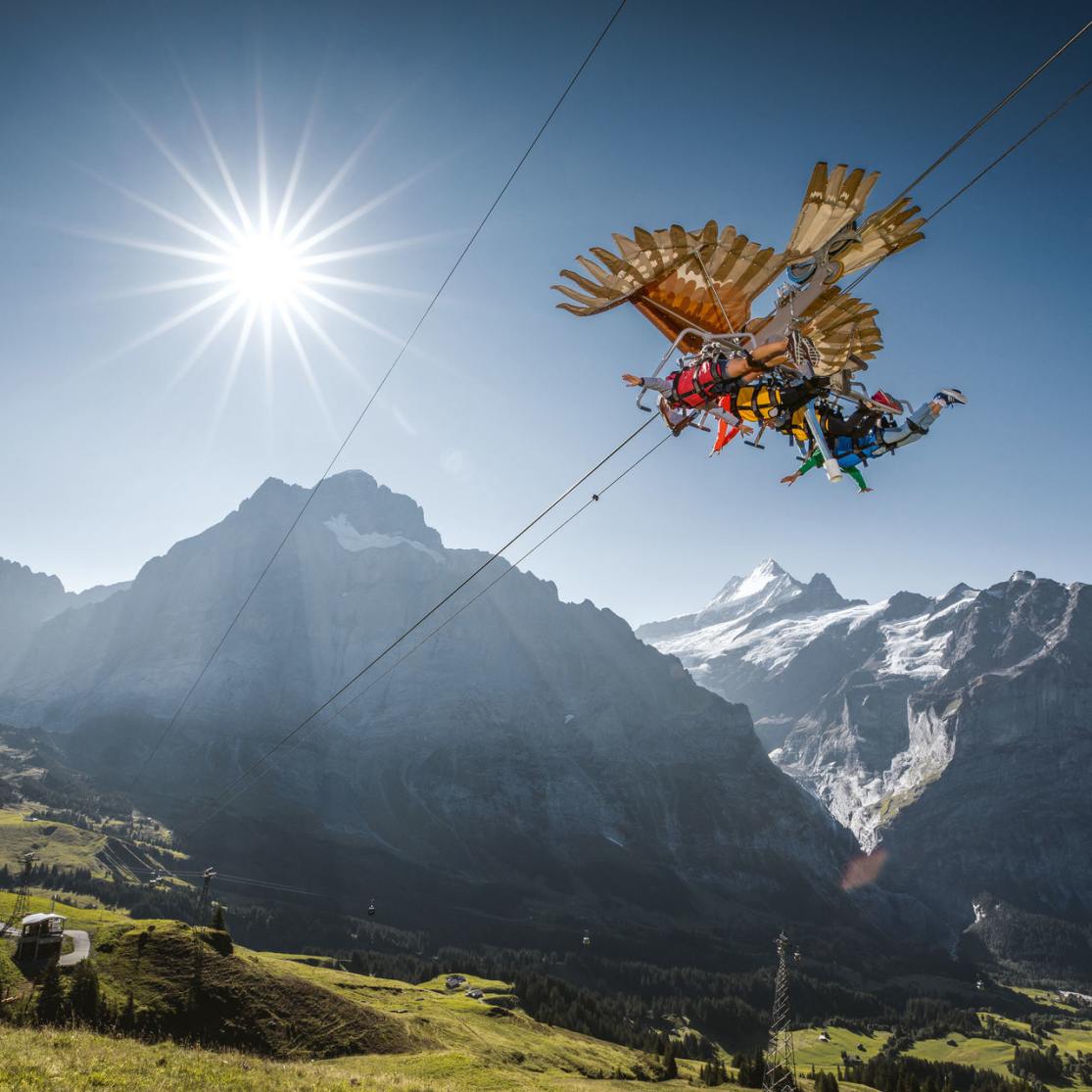 Grindelwald first sommer firstglider 01