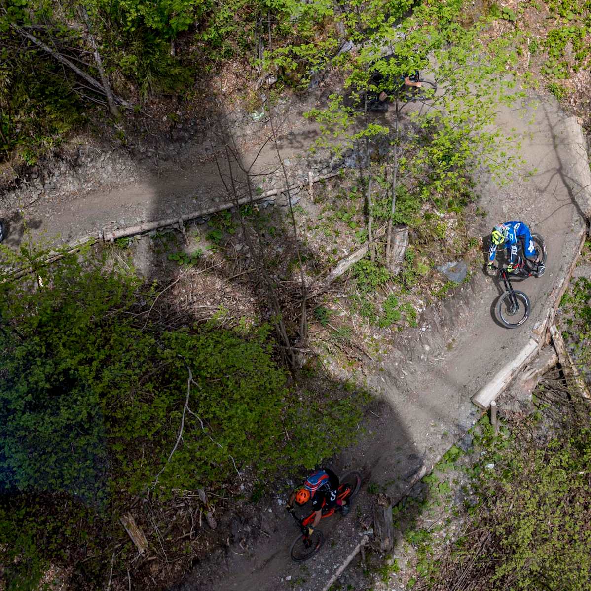 Biker auf dem Freeride Trail