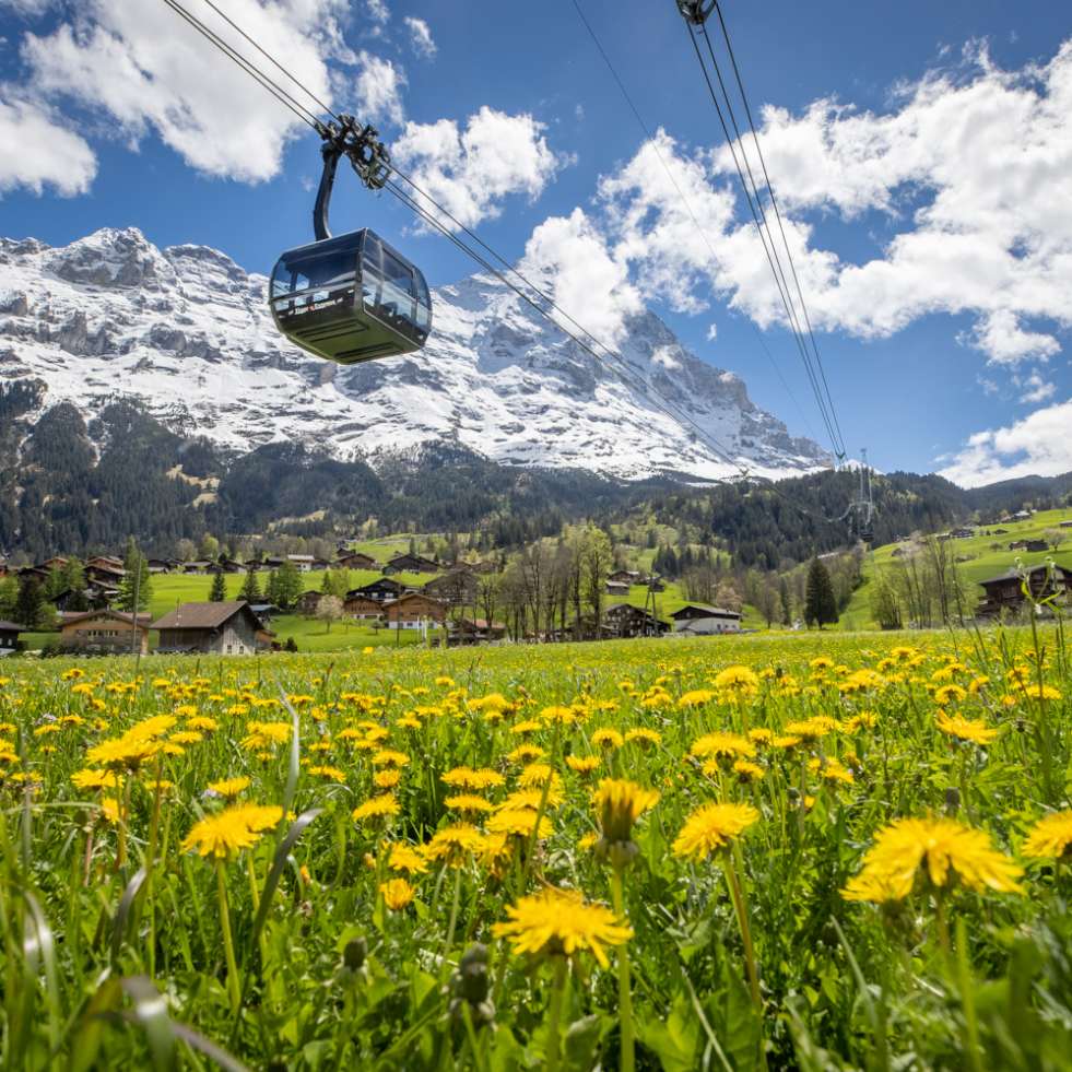 Eiger Express Sommer Eiger Nordwand