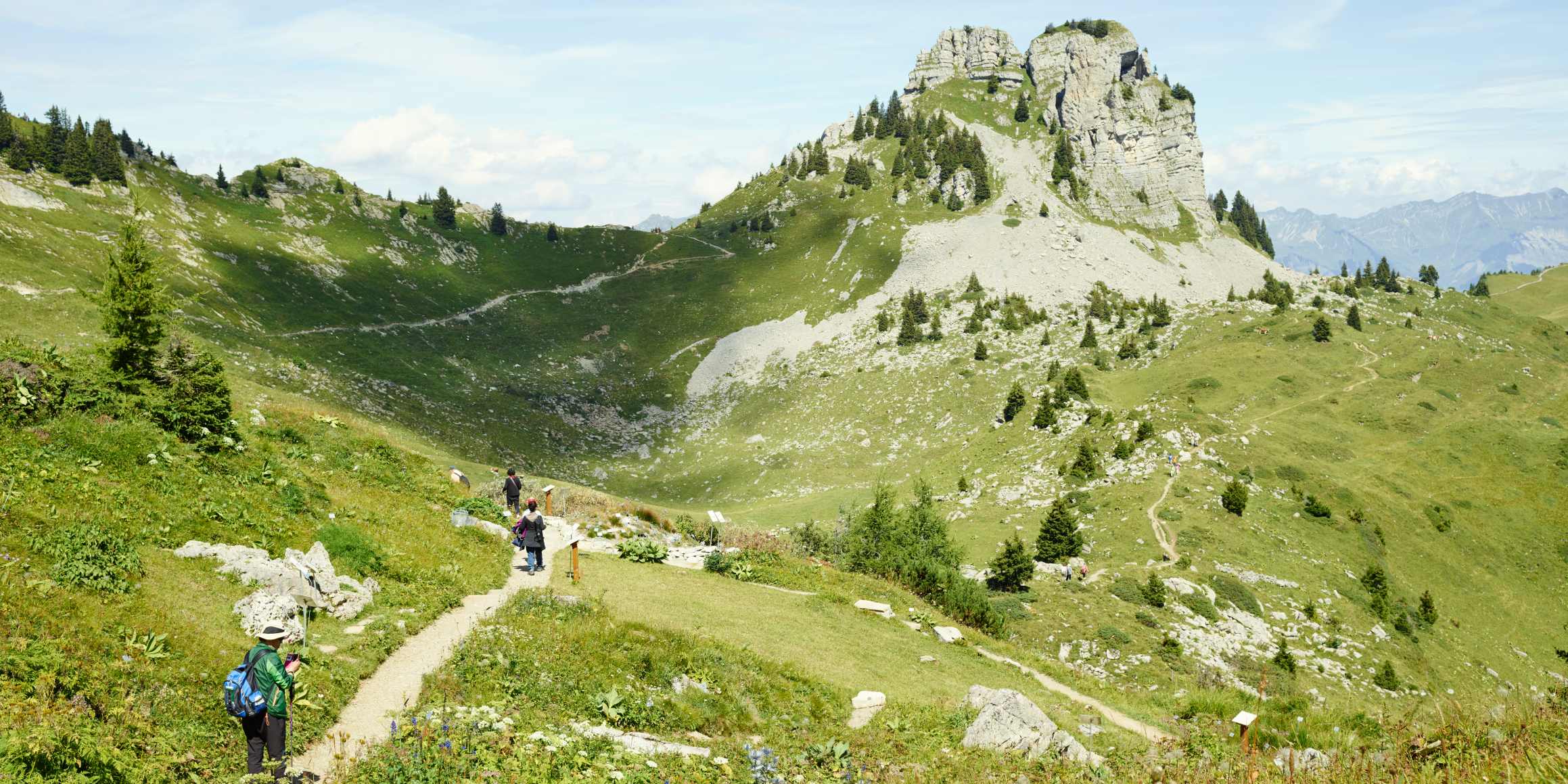 Schynige Platte Wandern Oberberghorn