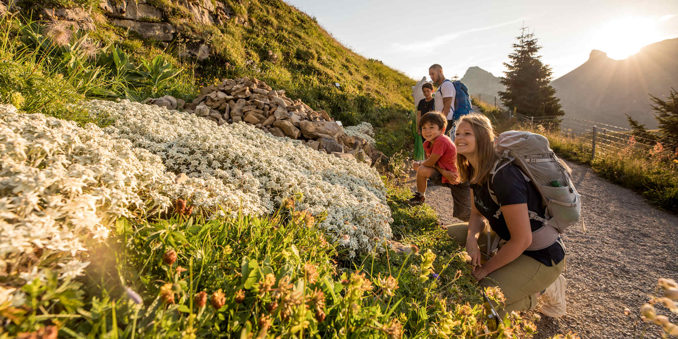 Berge, Eiger, Eiger-Mönch-Jungfrau, Erlebnisse-Aktivitaeten, Jungfrau, Mönch, Publikationen, Schynige-Platte, Screen-Content, Wandern, jungfrau.ch